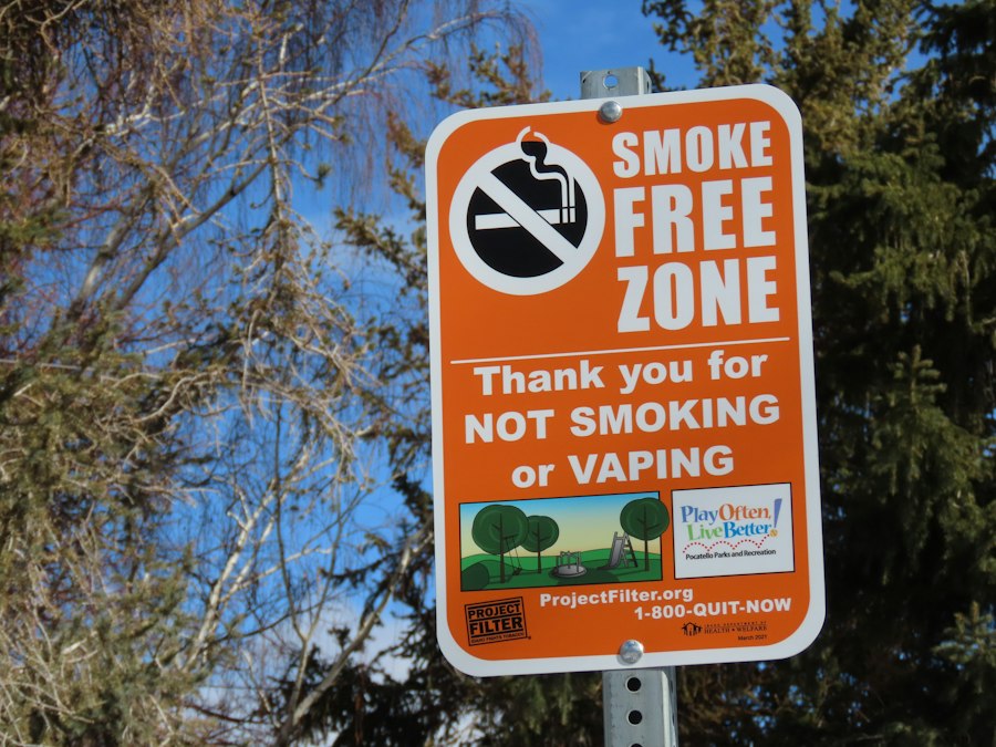 vape device