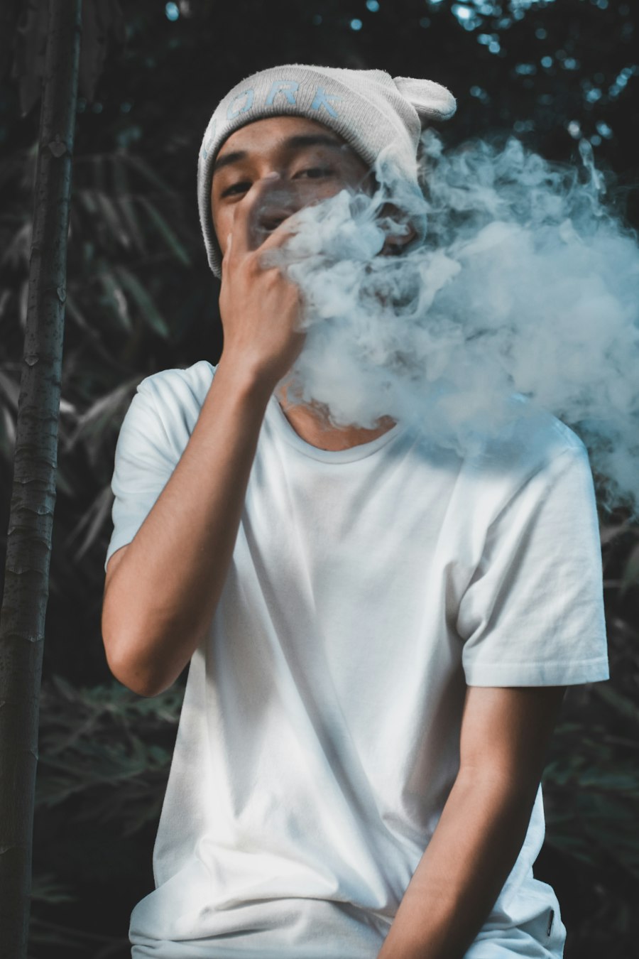 vape battery